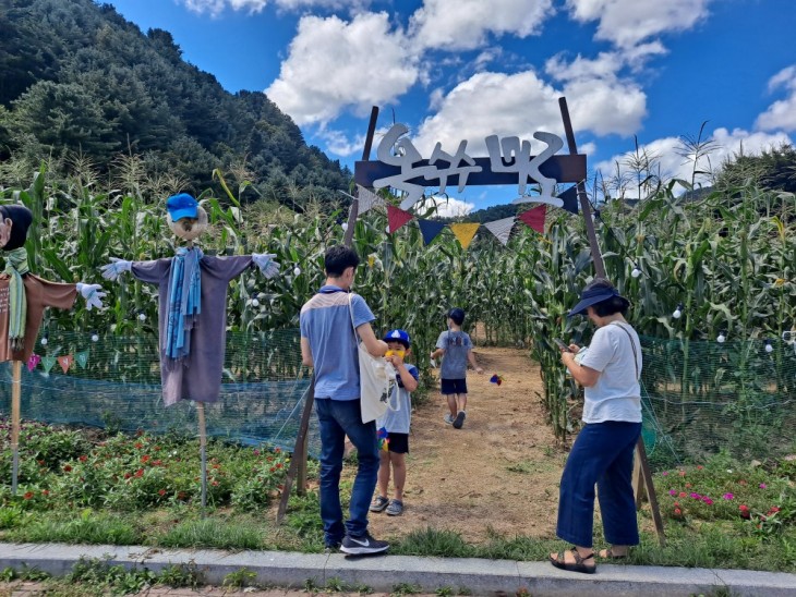 76173ddfae65d687498ff758fd3d0d80_1771434