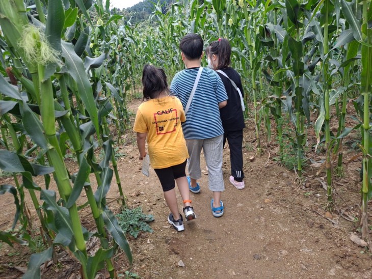 76173ddfae65d687498ff758fd3d0d80_1771434