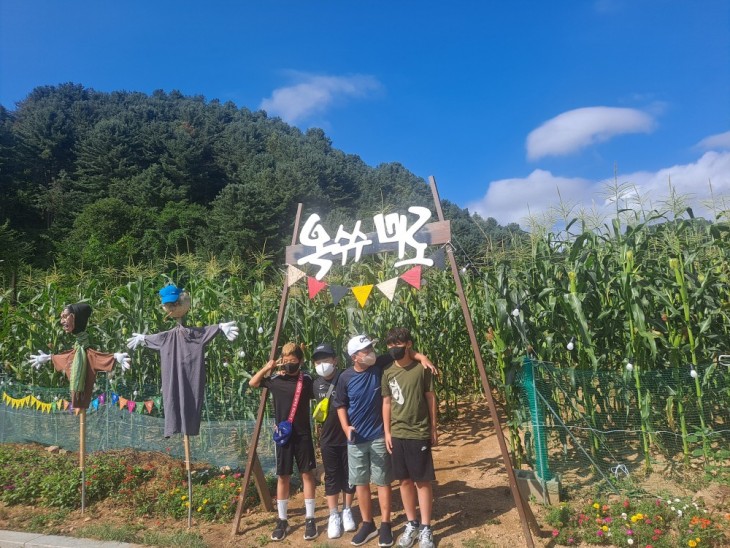 76173ddfae65d687498ff758fd3d0d80_1771434