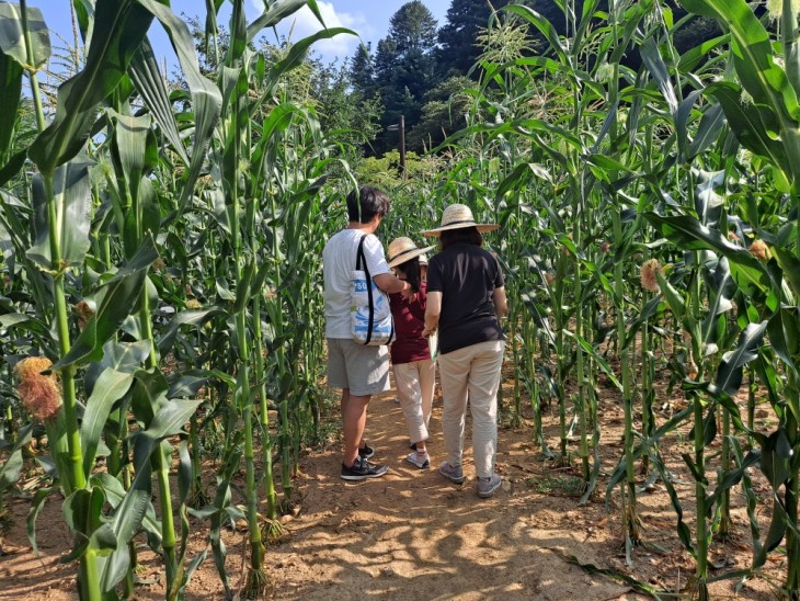 76173ddfae65d687498ff758fd3d0d80_1771434