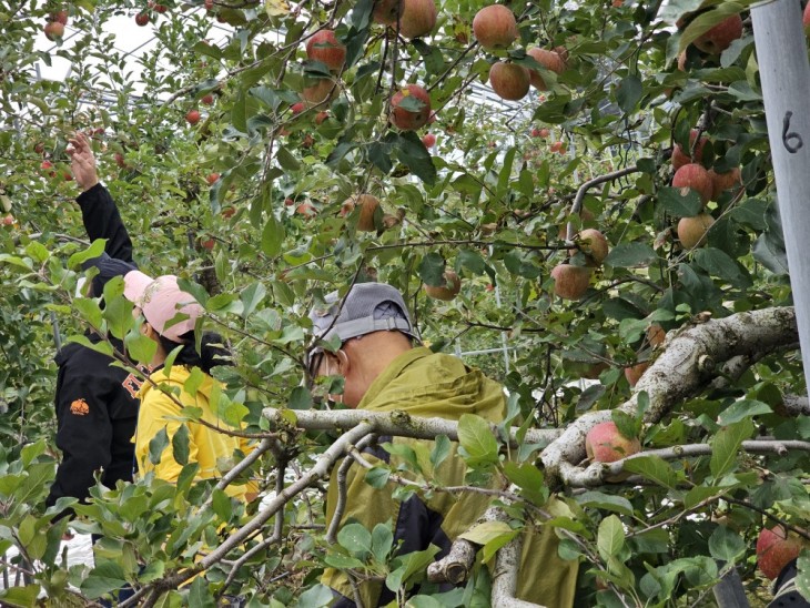 f8a119942b6c56b47fce9b7eec786ebe_1771494