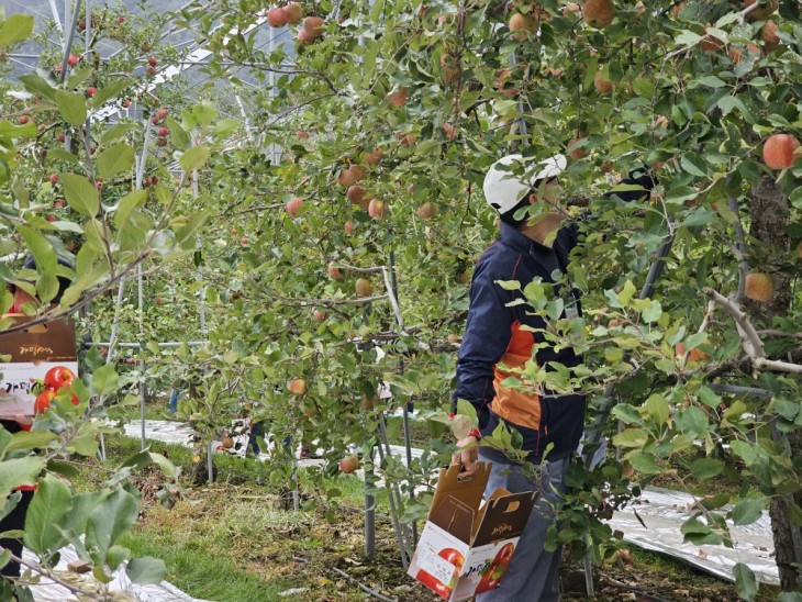 f8a119942b6c56b47fce9b7eec786ebe_1771494